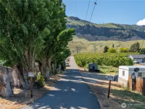 Driveway into property - orchard starts at telephone pole