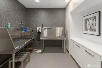 Pet Grooming Area