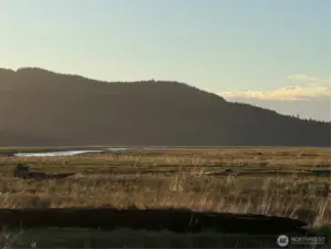 On the banks of the Naselle River