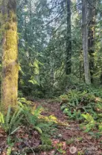 Entry to the property.