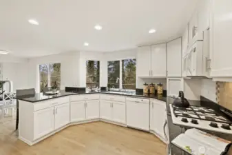 Chef's kitchen with lots of counter and cupboard space, and a walk-in pantry.