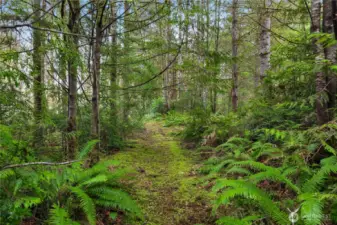 Peaceful private walking trail on property.