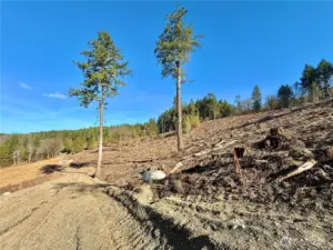 The orange marker is the boundary of revised Lot A.