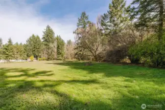 Easterly pasture area.  Property is completely fenced.