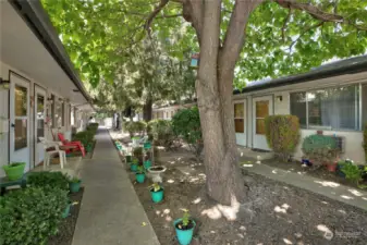 Central Courtyard Shared with 404 S 9th Ave 6-Plex