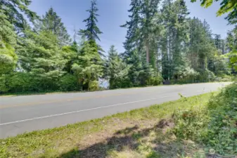 A view from west side of property driveway looking east to the bluff side