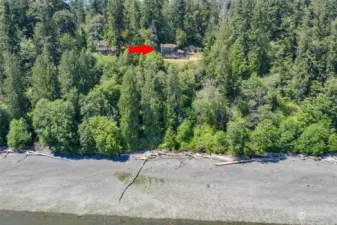 A full aerial beach and home shot.  If you were to follow the log that extends toward the water to treeline you'd find the late owners old shed where he kept his fishing and crabbing gear.  This is where the old stairs end.