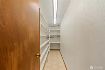 Large "Costco Room" Pantry or canning goods on lower level