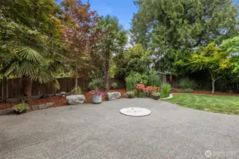 Your private backyard oasis awaits. Enjoy a huge covered patio for entertaining and stunning landscaping with built-in fire pit, water feature, and a ton of lush native and non-native plants! Two generously sized outbuildings provide ample additional storage
