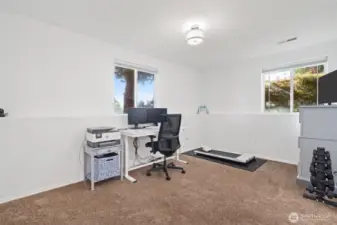 Lower Level bedroom with bath