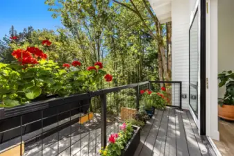 Guest suite deck