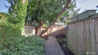 Fully fenced front and back