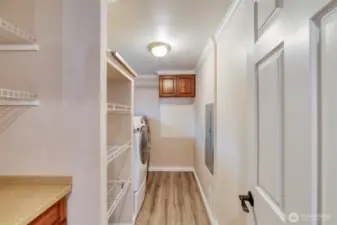 Large utility room off the kitchen featuring an ample pantry, washer and dryer, and additional storage shelving.