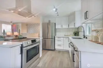 Slab Quartz Counters with full SS appliances