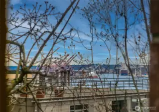 View from upper level.