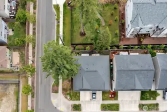 Overhead View
