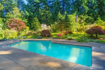 The pool and the enchantment of this yard are what you will enjoy from the Great Room