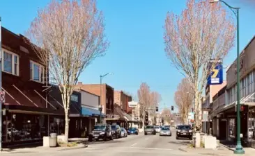 Downtown Puyallup is a historic area located within the Puyallup Valley, known for its small-town charm and convenience. It's characterized by a mix of family-owned businesses, great restaurants, and local boutiques.