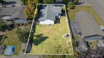 Large, Functional, and Flexible Backyard
