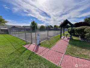 Community sports court