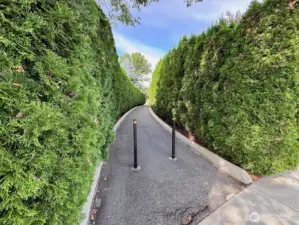 Community trail toward Mtn View park
