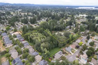 LOOKING TOWARDS THE NORTH (Capitol Lake at top of photo...).
