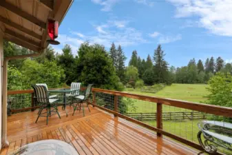 Enjoy the deck while bird watching. (Deck has been completely redone.)