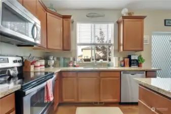 kitchen with view of back yard.