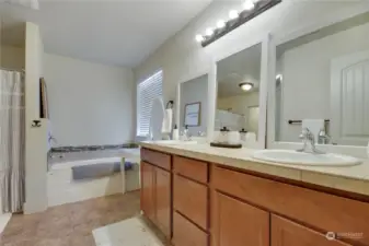 Primary bathroom, large soaking tub.