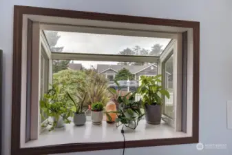 Bay window that works as a greenhouse