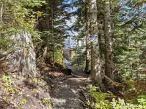 The path from the parking lot to the house.