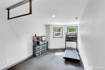 5th bedroom/Flex Space. Main Floor