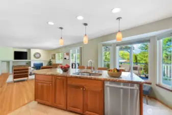 A view of the huge island that looks into the family room and overlooks the yard and deck.