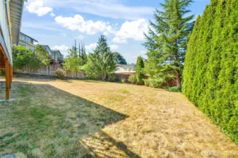 This yard has mature landscaping that includes 2 lilac trees, evergreen trees, and rhododendrons.