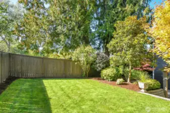 Fully Fenced Backyard