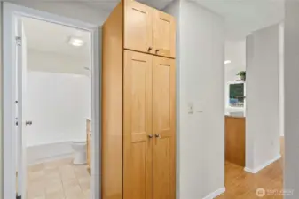 downstairs hallway and storage
