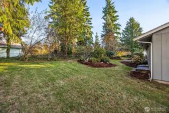 North side of the home