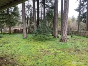 Additional view of the yard.