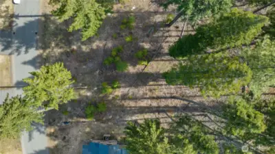 Overhead View