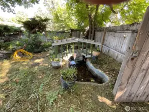 Backyard Lanscape