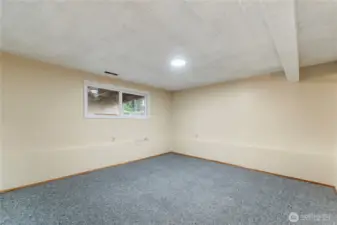 basement bonus/family room