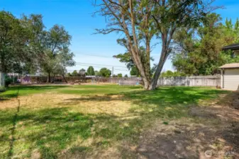 Another view of the huge backyard, from standing near the back patio.