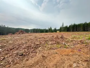 Nice level tract with slight westely slope