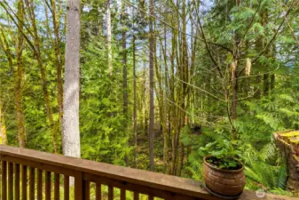 Balcony view toward Lake Whatcom