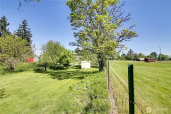 Along property lines