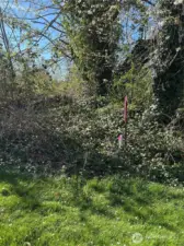 Stake at the front of additional parcel