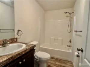 The main bath features a soaking bub and shower.