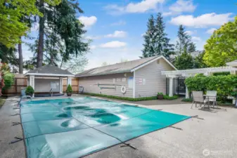 Community Pool