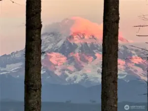 Enjoy the varied appearances of Mt. Rainier throughout the seasons