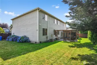 Large yard